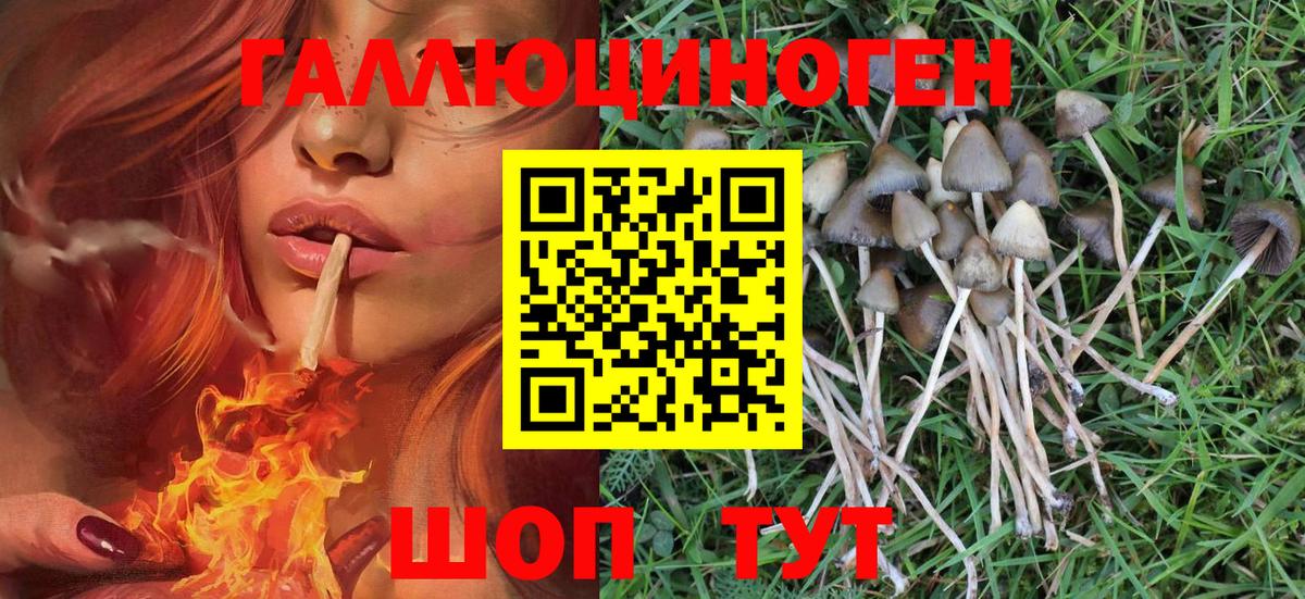 Псилоцибиновые грибы прущие грибы Североморск