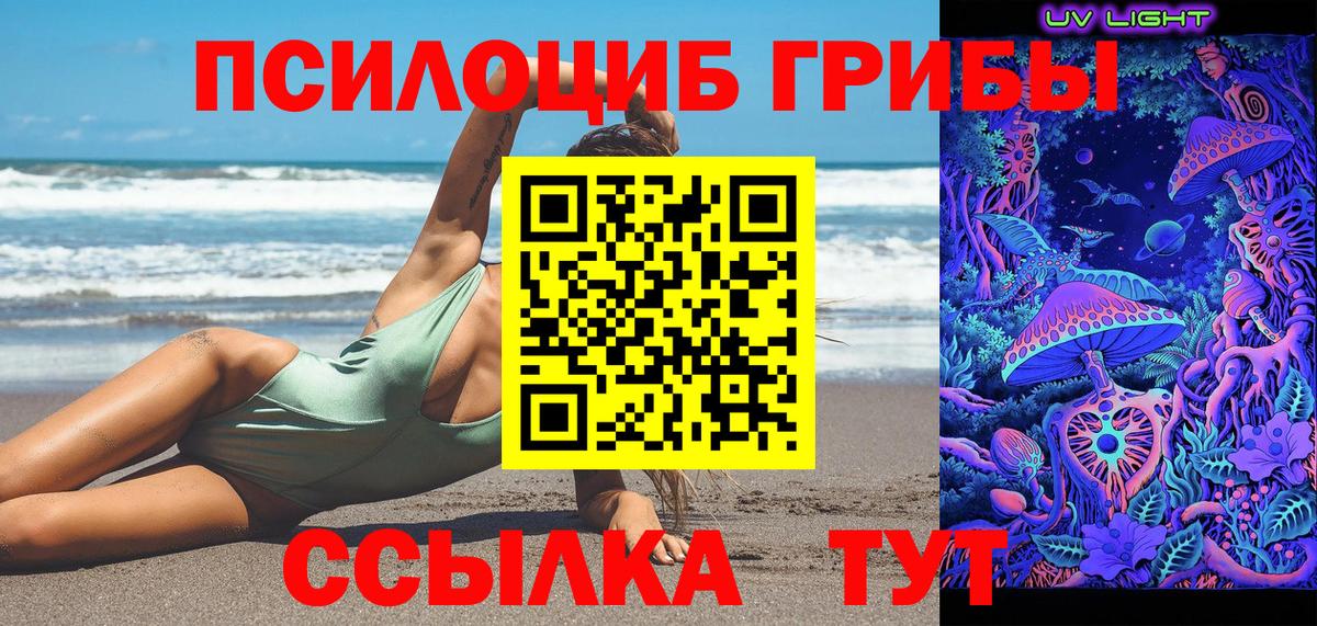 Псилоцибиновые грибы прущие грибы  Североморск  Псилоцибиновые грибы мухоморы 